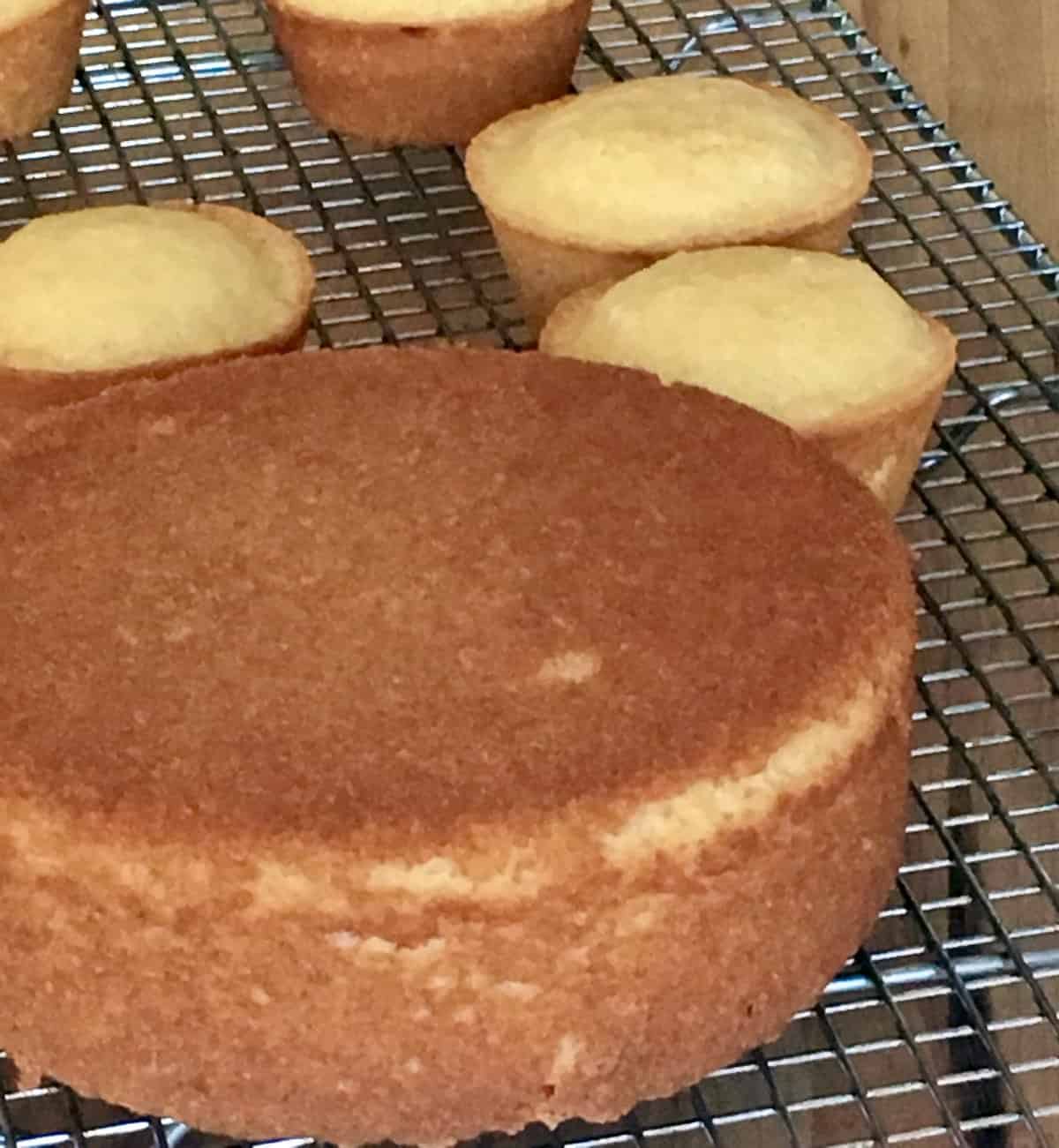 Cake and cupcakes on cooling rack.