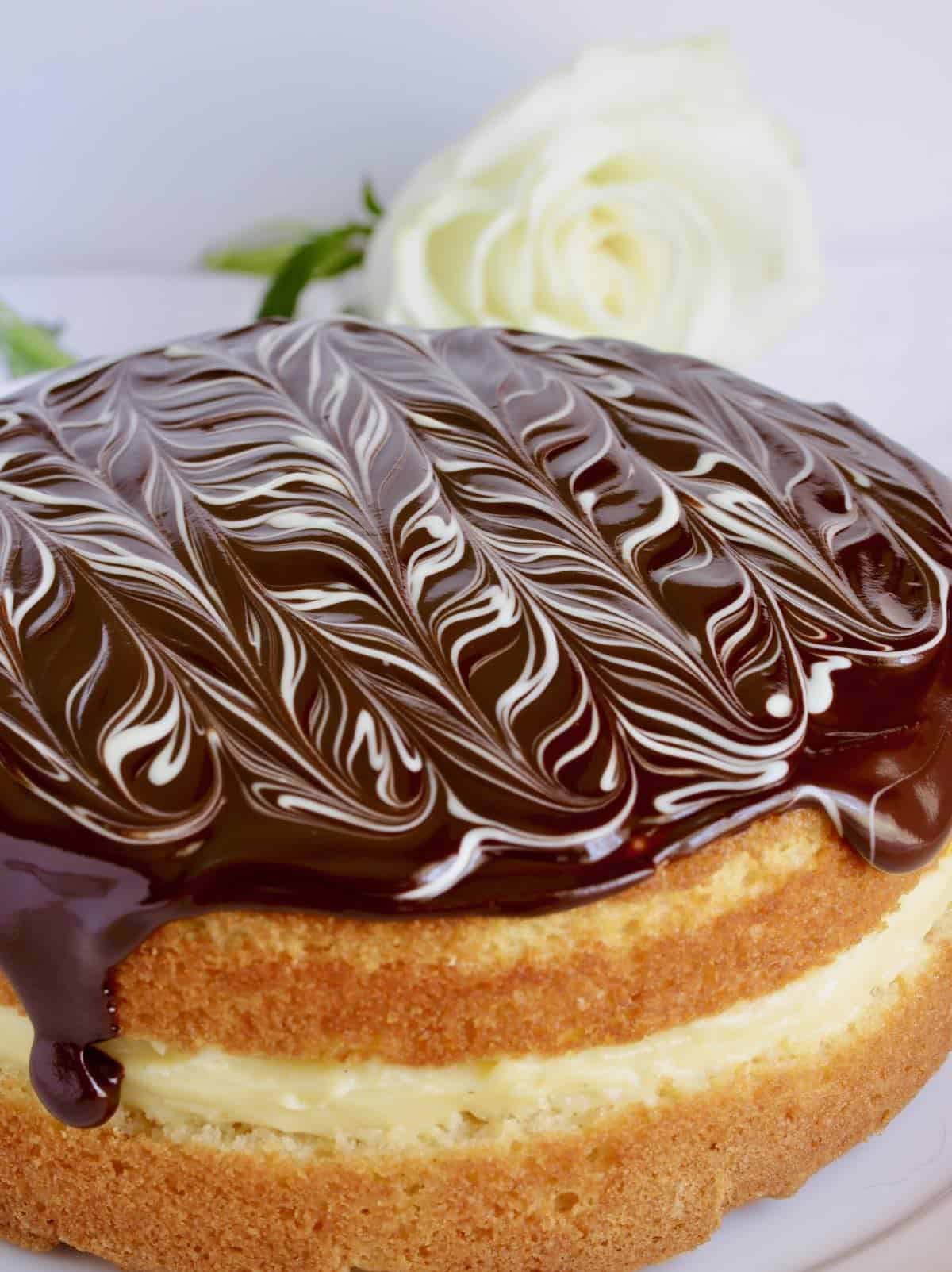 Boston Cream Pie and a white rose.