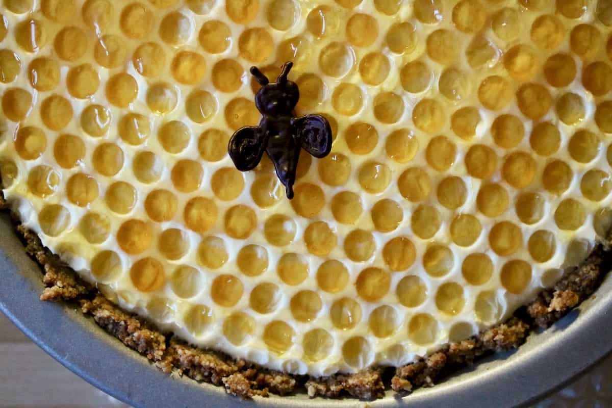 Elderberry honeycomb pie.