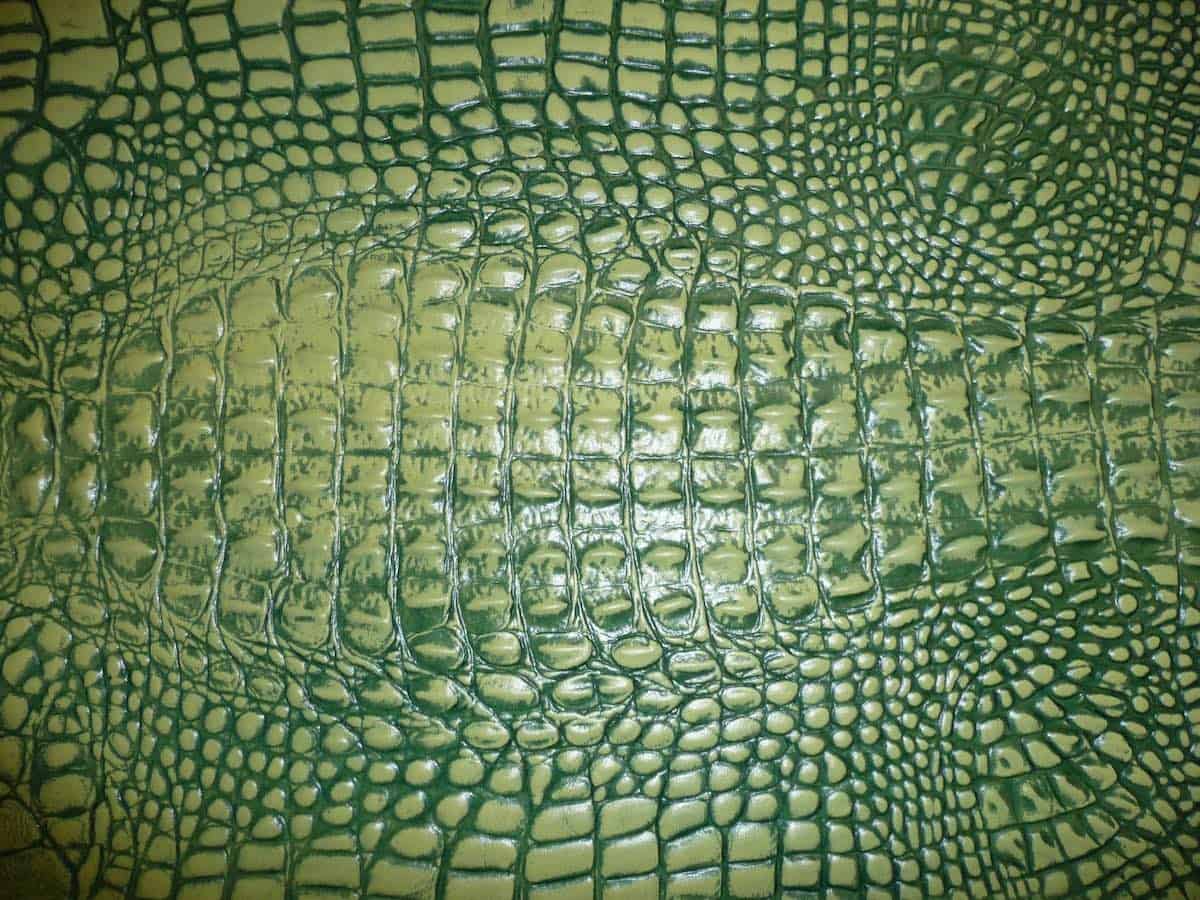 Green alligator purse.