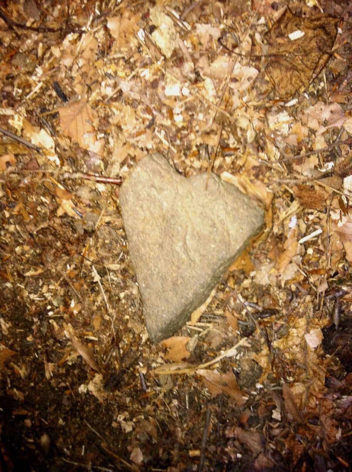 Rock shaped like a heart a found gift.