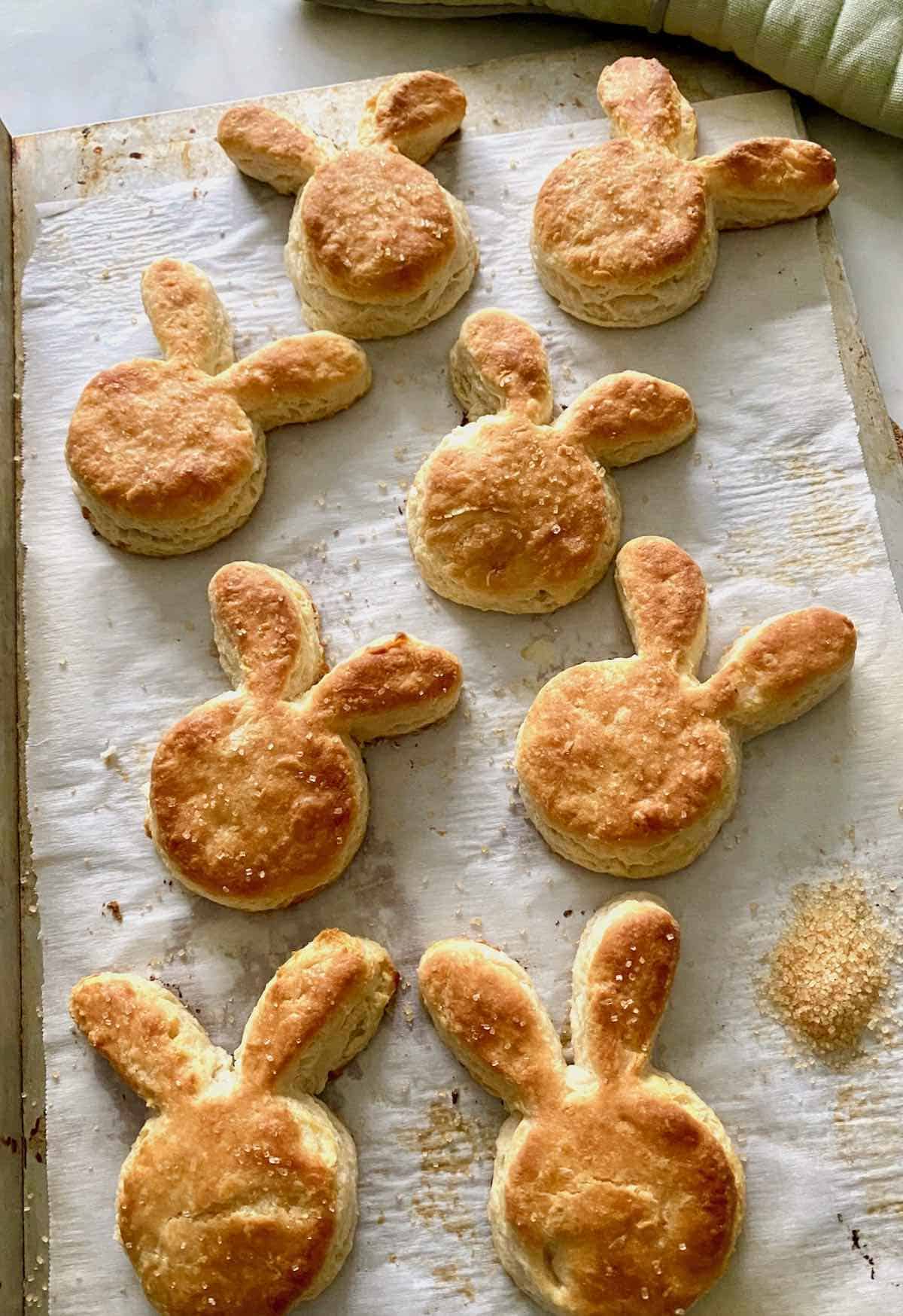honey bunny butter biscuits
