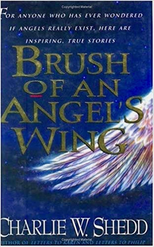 Brush of an Angel's Wing book cover.